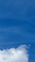 Morning aviation activity documented at Sofia Airport