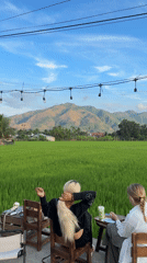 Tourists enjoy scenic rice paddy views in rural Vietnam