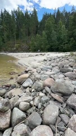 A drone or camera follows a rocky shoreline towards a sandy beach with a dense forest behind it. The water is murky and appears shallow near the shore. A person is visible walking on the sand in the distance. The sky is cloudy. The camera then pans out to show a wider view of the lake and forest, before focusing on the rocky shore and the legs of someone sitting down.