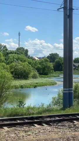 The video shows a view from a moving train. On the left side of the frame, a tall gray pole with blue stripes is visible. The train tracks are in the foreground, running horizontally across the bottom of the screen. Beyond the tracks, there is a body of water with lily pads and green vegetation growing in and around it. The water is reflecting the blue sky and white clouds. Trees and houses are visible in the background, suggesting a rural or suburban setting. The overall scene is bright and sunny, indicating it is daytime.