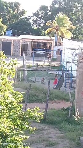 The scene shows an outdoor area in what appears to be a residential neighborhood. In the background, there are houses and trees, with a palm tree visible on the right side. A dirt area is enclosed by a makeshift fence made of wooden posts and wire. Within this fenced area, there is a dog and a child who appears to be wearing a red shirt. A blue and white playground set with a slide is also present. A person is walking behind a metal fence on the left. The video is taken from a slightly elevated position, looking down into the yard. The lower left corner of the video shows foliage from a nearby plant. The video quality is somewhat grainy, and the lighting is bright, suggesting it's daytime. A watermark "Infinix SMART 8" appears in the lower left corner of the screen.