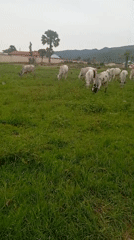 Afternoon sports and street activity in Jos, Nigeria
