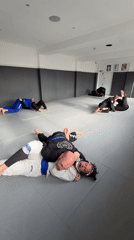 Morning jiu-jitsu class observed in London martial arts studio
