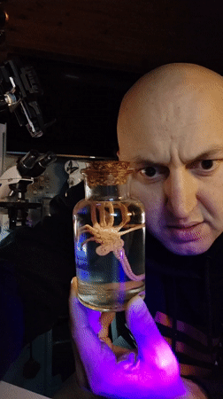 Pasta contamination with larvae documented in Ribeira Grande