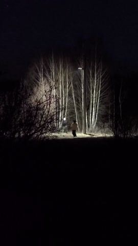 The video shows two people walking on a path at night. The path is lit by a single streetlight, illuminating a group of bare trees. The two people are walking away from the camera. One person is wearing a light-colored jacket, and the other person appears to be wearing a dark jacket and a white hat. Bushes surround the path, and the background is completely dark. A voice can be heard laughing in the background.