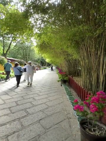 The video shows a stone-paved walkway in a park or garden. A group of people is walking away from the camera down the path. On the right side of the path, there's a row of tall, thin bamboo stalks that create a natural tunnel-like effect over the path. Along the base of the bamboo are various potted plants, including some with pink flowers and others with succulents. A low red fence runs alongside the path, separating it from the plants. On the left side of the path, there is a building with a yellow wall in the distance, and additional trees and greenery. The scene is bright, with sunlight filtering through the trees.