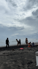 Beach gathering and surf cafe documented during morning hours