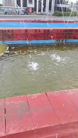 A video clip shows a fountain with several spouts of water erupting from the surface. The fountain is surrounded by a red brick ledge. In the background, a building with windows and columns can be seen, along with a street with people and vehicles. The water in the fountain appears murky and slightly foamy.