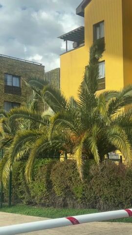 The video presents a static, medium shot focusing on a vibrant yellow building situated behind lush greenery, including palm trees and dense bushes. To the left, a similar building with ivy climbing its facade is partially visible. The sky is overcast, casting a soft light on the scene. In the foreground, a barrier with white and red stripes adds a sense of enclosure. The buildings appear modern and residential, suggesting a well-maintained urban environment.