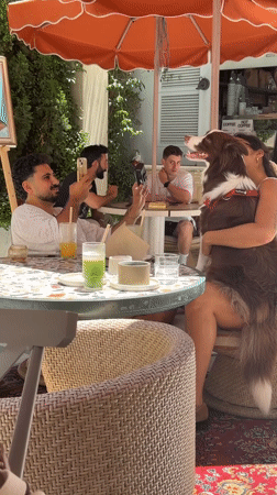 Lazy Friday morning at a Tel Aviv neighborhood café scene