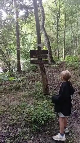 A child with blonde hair tied in a ponytail, wearing a black hooded jacket and white sneakers, stands on a dirt path in a forest. The child faces away from the camera, looking towards a signpost with three wooden signs. The signpost is attached to a tree. To the left of the path, a stream or river flows, bordered by rocks and lush green foliage. Beyond the stream, more trees and vegetation are visible, with a waterfall or cascade in the background. The path continues to the right, leading deeper into the wooded area. Another child, wearing a bright green hooded jacket and white sneakers, is visible further down the path on the left side, standing near the stream and a fallen log. The environment is characterized by dense forestation, with a variety of trees and undergrowth. The lighting suggests an overcast day or shaded forest.