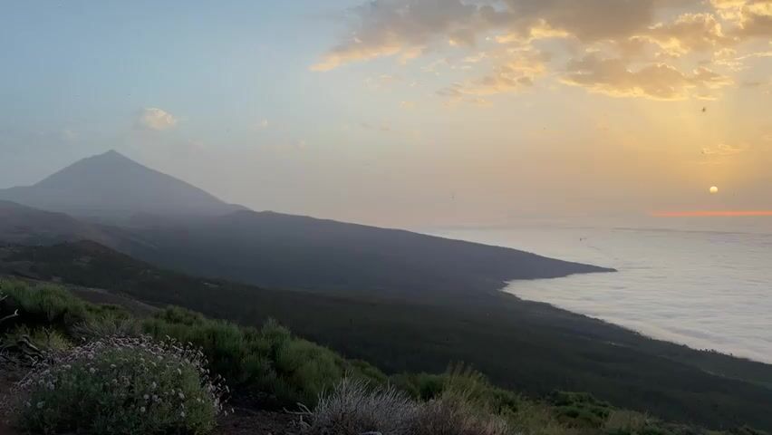 A wide shot of a volcanic landscape at sunrise. The sun is a small orange disk low on the horizon, casting a warm glow over a thick blanket of clouds that fills the lower half of the frame. A large, dark mountain, likely a volcano, dominates the left side of the image, its peak shrouded in mist. The foreground is filled with low-lying green shrubs and some pink wildflowers. The overall atmosphere is serene and majestic.