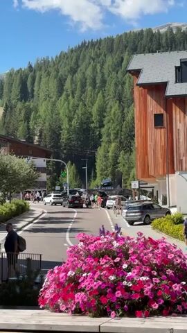 The video opens with a view of a street in a mountainous area. A large bush of pink and purple flowers is in the foreground. In the background, a dense forest covers a mountain. A road runs through the scene with cars and people walking on sidewalks. Several buildings are visible along the road, one of which is made of wood and has a dark roof. The sky is blue with some white clouds. The scene appears to be a busy street in a scenic mountain town during the daytime.