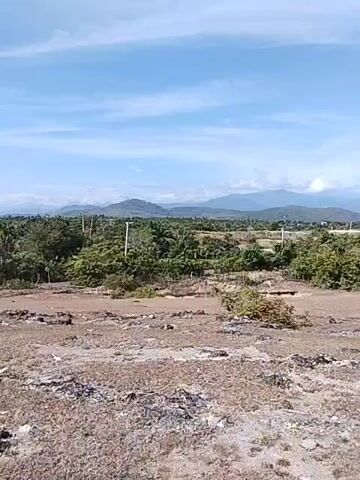 The video shows a wide shot of a landscape with a clear blue sky and distant mountains. In the foreground, there is dry, uneven terrain with sparse vegetation. A line of trees and shrubs stretches across the middle ground, with some taller trees and utility poles visible. The background features rolling hills and mountains under a bright sky with some white clouds. The scene appears to be a rural or undeveloped area.