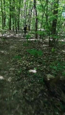 A person on a bicycle rides away down a dirt path in a forest. The camera follows behind the cyclist, providing a slightly shaky view of the path ahead. The forest is lush and green, with tall trees and a dense undergrowth of leaves and plants. The sun shines through the trees, creating dappled light on the path.