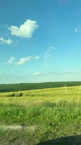 This media file captures a scenic view from a car traveling through a rural landscape. The scene is dominated by vast agricultural fields, with lush green grass in the foreground and a mix of yellow and green crops stretching towards the horizon. In the distance, a dense field of dark green crops, likely soybeans, creates a striking contrast with the brighter foreground. The sky is a clear, vibrant blue, dotted with fluffy white clouds that cast soft shadows on the land below.

The time of day appears to be late morning or early afternoon, given the bright sunlight and the angle of the shadows. The weather is fair and sunny, ideal for outdoor activities or travel. The location is identified as Zoriane, Ukraine, and the imagery strongly suggests a countryside setting characterized by open fields and agricultural activity.

The primary activity taking place is travel by car, as evidenced by the interior shots of the car's dashboard, windshield, and side mirror. The camera captures the passing scenery from a moving vehicle, giving a dynamic perspective of the landscape. While no people are clearly visible in the outdoor shots, the presence of the car implies human activity.

Notable details include a large, leafy tree partially obscuring the view in one segment, and a distant, possibly man-made structure in the far distance of one shot. The overall mood is one of peacefulness and serenity, conveyed through the expansive natural beauty of the Ukrainian countryside. There is no visible text in the media file.