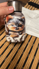 Person handles Yorkshire terrier water bottle in Varna