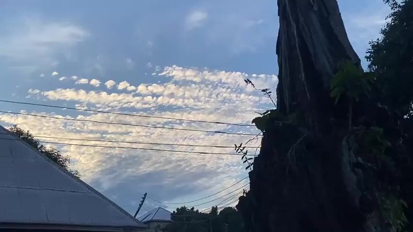 The scene features a blue sky partially covered with rows of small, puffy, white clouds. In the foreground on the left is the dark gray, slightly tilted roof of a building, possibly a house, with foliage at the top edge.  Several electrical wires stretch across the sky between the building and the clouds. To the right, a large, dark tree trunk stands prominently, with some green vines and leaves growing on it.  In the distance, between the roof and the tree, the roofs of other buildings can be seen.