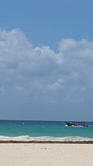Tropical beach scene documented in Playa del Carmen
