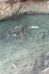 Rengel's bat cave attraction: wildlife, water, and local stalls