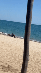 Sunny beach day draws swimmers, diners to Mont-roig del Camp