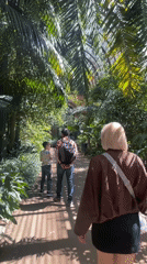 Barcelona museum visitors enjoy botanical exhibits and park grounds