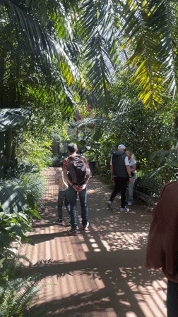 Barcelona museum visitors enjoy botanical exhibits and park grounds