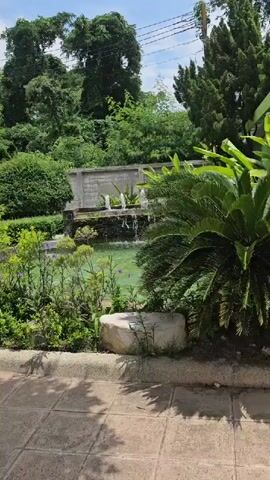 The video shows a still shot of a garden with a pond. In the background, there is a tiered waterfall with water fountains. Lush green foliage surrounds the pond, with some purple and yellow flowers scattered throughout. A large rock is placed near the edge of the pond. The overall scene is serene and tranquil.