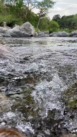 A close-up view shows clear water flowing rapidly over and around rocks in a shallow river. The water creates small rapids and ripples as it moves downstream. Large, light-colored rocks are visible in the riverbed and along the banks. In the background, lush green trees and foliage line the river, with a bright, possibly overcast, sky visible above. The scene depicts a natural river environment, and the sound of rushing water can be heard. The video is set in El Jabillo, Venezuela.