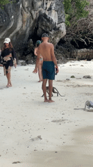 Monkeys and beachgoers share the shoreline at Ao Nang