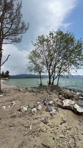 The video shows a view of a body of water, likely a lake or sea, from a sandy and rocky shore. A small island with a cluster of trees stands in the water near the shore. The trees are mostly bare on their lower branches, with green foliage at the top. The water is a greenish-blue color, and waves are visible lapping at the shore. The sky is partly cloudy with patches of blue. The foreground of the scene is a beach littered with rocks, debris, and some dried branches. The debris includes small pieces of trash. To the left, the bare branches of a tree are visible, extending into the frame. The overall impression is of a somewhat neglected natural landscape.