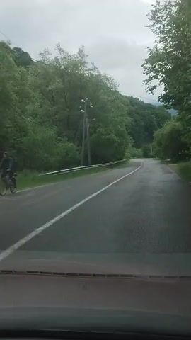 From a car's perspective, the video shows a road winding through a forest. The road is asphalt, with a white line marking the center. Green trees line both sides of the road. In the distance, hills covered with trees are visible. The sky is overcast and grey. There are power lines visible above the road.  A metal guardrail runs along the left side of the road.
