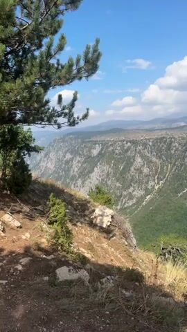 The video pans across a dramatic mountainous landscape under a bright blue sky with scattered white clouds. In the foreground, on the left, is a portion of a pine tree with green needles. The ground in the immediate foreground is dry and rocky with patches of grass and small shrubs. A large, light-colored rock is visible on the edge of a steep drop-off. The main focus of the video is a vast canyon with steep, rugged cliffs covered in green vegetation. The canyon walls are a mix of grey rock and lush trees. In the distance, more rolling hills and mountains fade into a hazy horizon. The overall scene depicts a wild and natural environment, likely a national park or mountainous region, captured on a sunny day. No people or specific actions are visible.