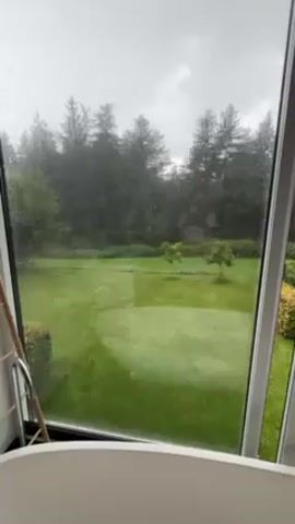 Here's a description of the video: 
The video shows a view of a lush green backyard from inside a room, likely a bathroom, due to the presence of a white bathtub. It is raining heavily outside, with raindrops visible on the large windows. Beyond the yard, there is a dense forest of tall evergreen trees. In the backyard, the grass is neatly manicured, and a few small trees are planted. The sky is overcast and gray.  The camera slowly pans to the right, showing a door with a silver handle next to the window. There are some folded towels stacked on a box in the corner of the room.