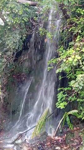 The video shows a small waterfall in a lush, green environment. The water cascades down a rocky surface, surrounded by trees and vegetation. There are fallen leaves and debris at the base of the waterfall. The camera remains static throughout the video, focusing on the natural scene.