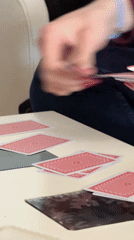 Card game session recorded in Kragujevac, Serbia