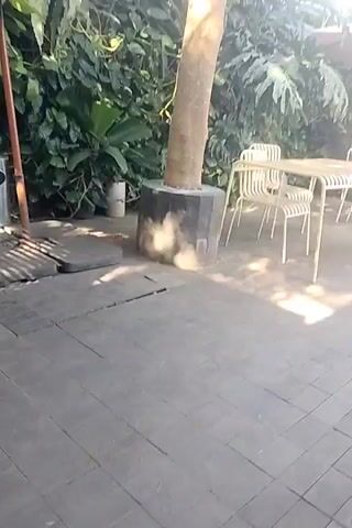The video begins with a close-up of wooden planks, possibly a deck or floor. The camera pans across the surface, showing the texture and grain of the wood. As the video progresses, the camera shifts to a view of a tiled outdoor area, with square gray tiles. In the background, there are several white chairs, a metal trash can, an umbrella stand, and lush green foliage. The lighting suggests it is daytime, with sunlight casting shadows on the ground. There is a brief glimpse of a person on the left side of the frame at the very beginning, but they are out of focus and their actions are unclear. The remainder of the video focuses on the static outdoor environment.
