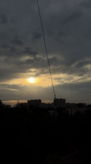 Cloudy urban afternoon: sky, skyline, and peeling tree bark