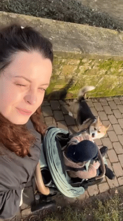 Mother records selfie with baby and corgi in Meisenheim