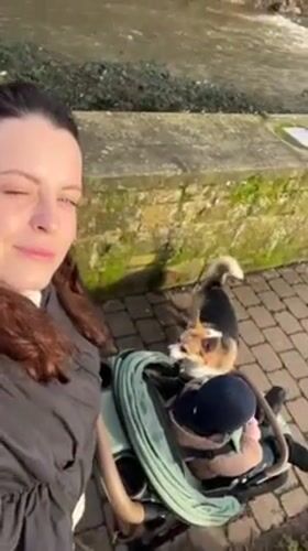 Mother records selfie with baby and corgi in Meisenheim