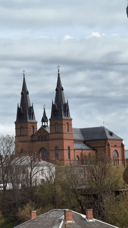 Tourist documents historic Rezekne ruins with dandelions, church views