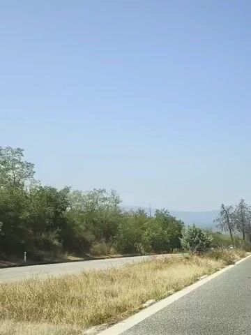 The video shows a view from inside a moving vehicle. The road curves to the right. On the left side of the road, there is dry grass, bushes, and trees. Some of the trees appear dead or sparse. In the distance, there are hills. On the right side of the road, there are more trees, some of which are dry and appear to have lost most of their leaves. Two white cars are visible in the distance on the road. The sky is clear and blue.