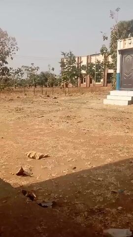 The video depicts an outdoor scene on a sunny day. The foreground consists of a dry, dusty, and somewhat littered ground, possibly a yard or vacant lot. Patches of dry grass or weeds are scattered across the area, along with some debris. To the right, there's a small structure that looks like an outdoor toilet or a small storage unit, painted with white and blue accents. In the background, there's a two-story building with multiple windows, partly obscured by trees. The sky is clear and light blue, and power lines are visible overhead. Trees are scattered throughout the area. The overall impression is that the location is a somewhat arid and sparsely vegetated area, possibly on the outskirts of a town or in a rural setting.