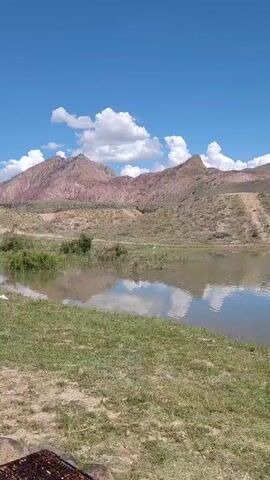 The video shows a scenic view of a lake with mountains in the background under a blue sky with white clouds. A white bird, likely an egret, stands on a small island in the middle of the lake. The water reflects the sky and the surrounding landscape. The foreground features a grassy bank.