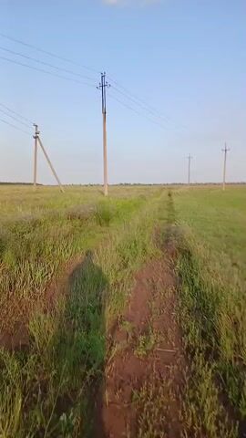 A person's shadow is cast on a dirt path that runs through a grassy field under a clear sky. Several utility poles with power lines run parallel to the path. The overall scene depicts a rural landscape.