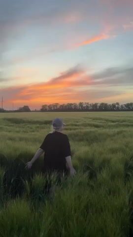 A person wearing a black t-shirt and light blue baseball cap walks through a green field of tall grain, arms outstretched. The sky above features a colorful sunset with orange, pink, and blue hues, and a line of trees is visible in the distance.