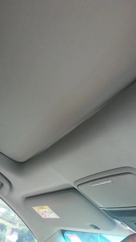 The video shows the view through a car's sunroof as it opens, revealing the sky and trees. Initially, the view is obscured by the closed roof and the bright sunlight. As the sunroof retracts, trees become visible against a partly cloudy sky. The viewer sees a palm tree and another tree, with light filtering through the clouds. The video maintains a static camera angle, focusing solely on the opening of the sunroof and the evolving view above.