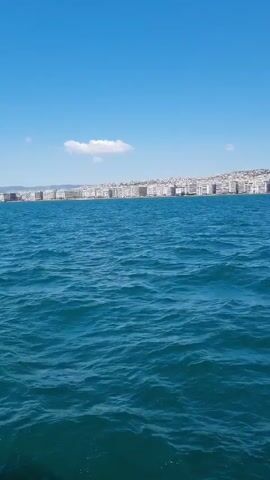 The video shows a wide shot of a body of water with a city skyline in the distance under a bright blue sky with a single white cloud. The water is a deep blue with visible ripples, suggesting gentle waves. The city in the background appears to be densely populated with buildings of varying heights stretching along the coastline. In the middle distance, a white bird, likely a seagull, is seen flying. The sun is shining, casting a bright light on the scene.