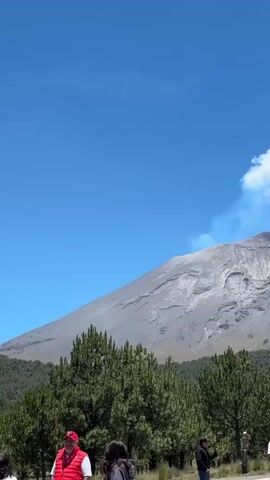 A wide shot captures a majestic, grey, cone-shaped volcano under a bright blue sky dotted with fluffy white clouds. Smoke gently billows from the volcano's peak, indicating activity. In the foreground, a line of lush green pine trees forms a natural barrier. Below the trees, a paved path runs horizontally, and several people are gathered, some standing, some sitting. They appear to be tourists observing the volcano. The lighting suggests a sunny day. The video is oriented vertically.