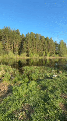 Lakeside camping documented in Chaikovsky, Russia